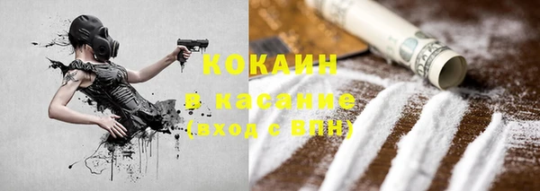 сатива Володарск