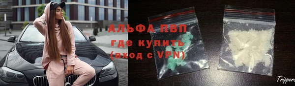 сатива Володарск