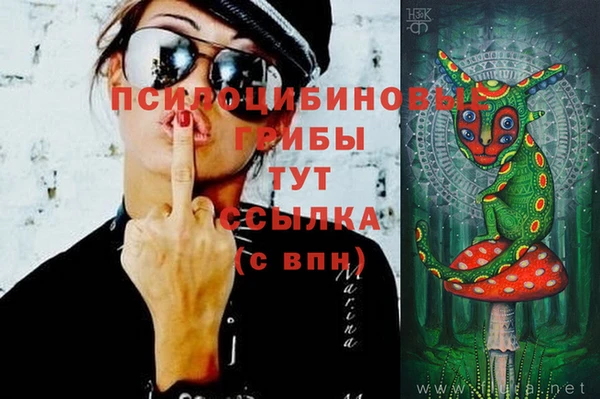 тгк Волоколамск