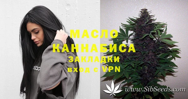 сатива Володарск