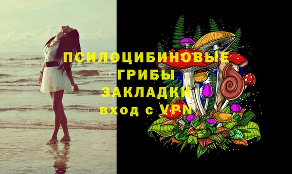 сатива Володарск
